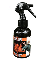 proxpedition,-leurre-jeune-mle-pour-orignal-mo-s4ym