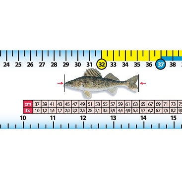 nature-chasse-et-peche-regle-peche-rigide-61-cm-