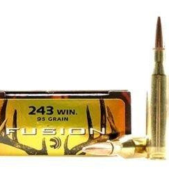 fusion,-balles-fusion-cal.243-win-f243fs1