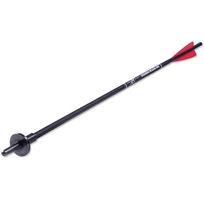 carbon-express,-flࣨche-de-dࣩchargement-'55604