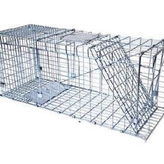 coldfield,-cage-pour-capture-vivante-dpe-12311