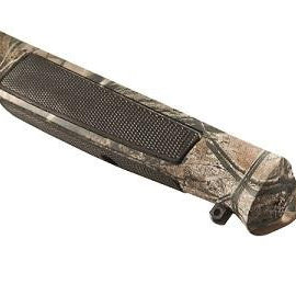 cva,-fࣻt-pour-apex-ac31169c