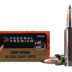 federal,-balles-vital-shok-cal.300-wsm-p300wsmtc1