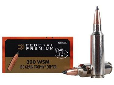 federal,-balles-vital-shok-cal.300-wsm-p300wsmtc1