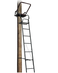 big-dog,-mirador-trailbreaker-bdl-106