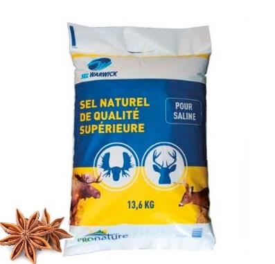 sel-warwick,-sac-de-sel-࣠-saveur-d'anis-233-13