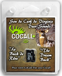 cocall,-carte-de-son-cocall-chevreuil-msdch01
