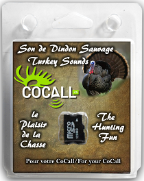 cocall,-carte-de-son-cocall-dindon-msddin01