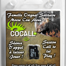 cocall,-carte-de-son-cocall-femelle-solitaire-orignal-msdsefem