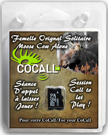cocall,-carte-de-son-cocall-femelle-solitaire-orignal-msdsefem