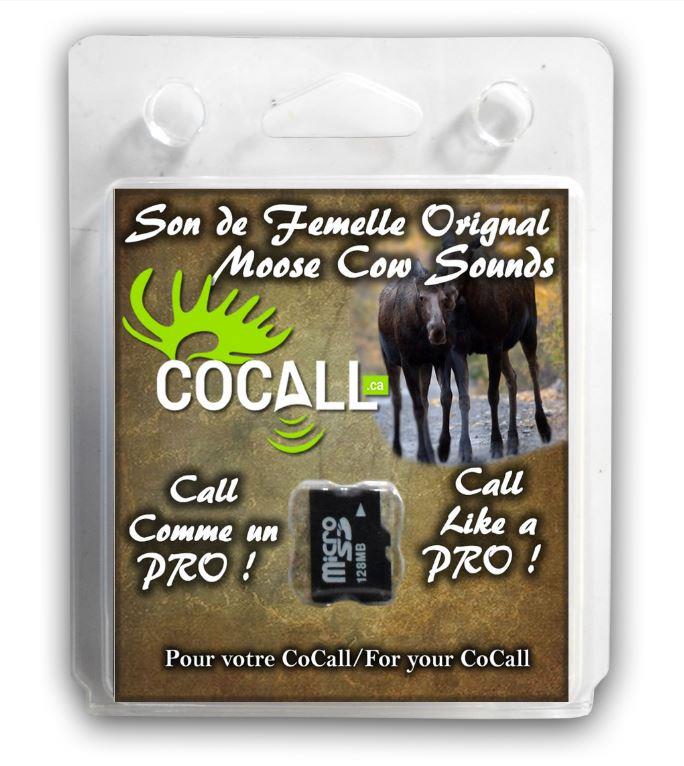 cocall,-carte-de-son-cocall-femelle-orignal-msdof01