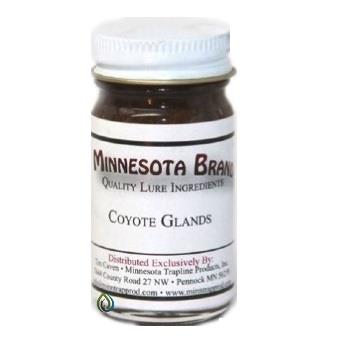 minnesota-brand,-leurre-coyote-glands-licg16-1oz
