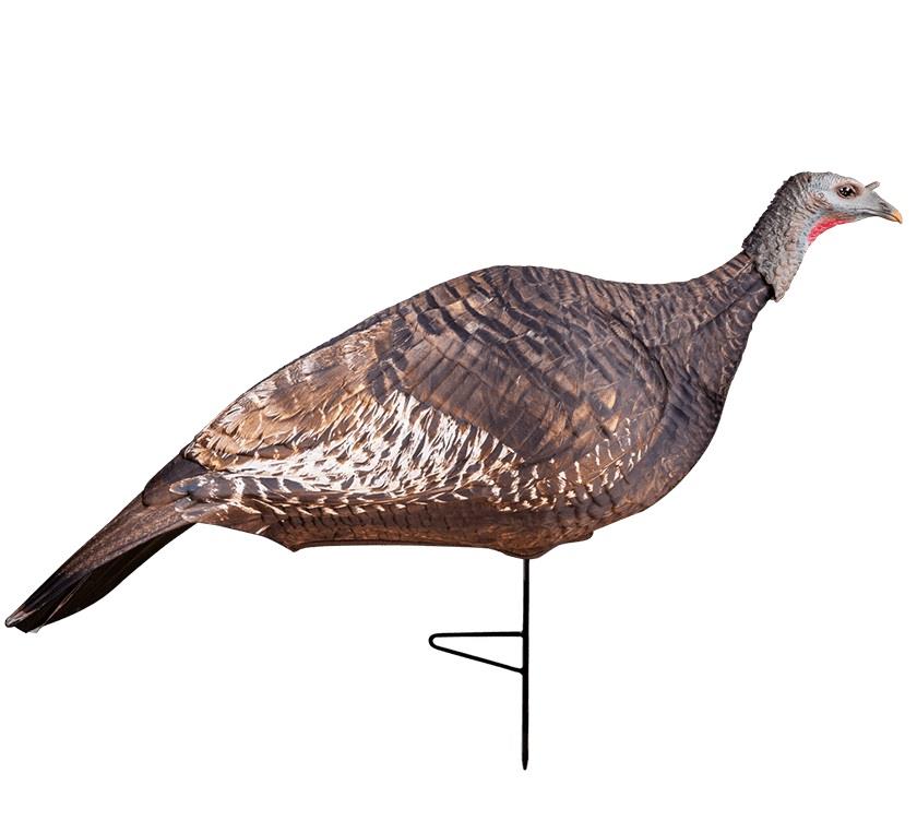 primos,-appelant-de-dindon-photoform-hen-zz-69068