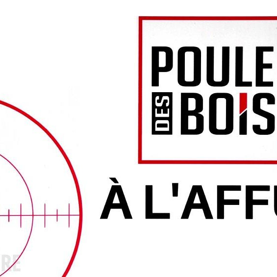 poule-des-bois,-affiche-poule-des-bois-࣠-l'affࣻt-panpdb