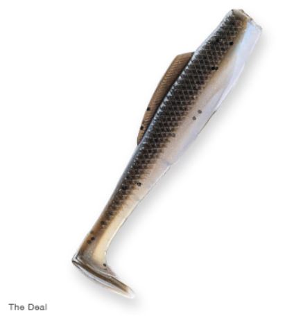 zman-minnowz-the-deal