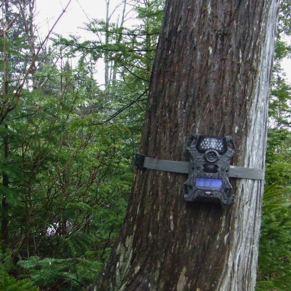 camera-de-chasse-et-accessoires
