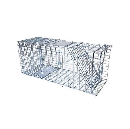 cage-capture-ecureuil