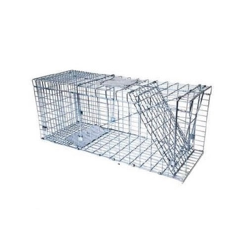 Cage robuste pour capture vivante de raton laveur