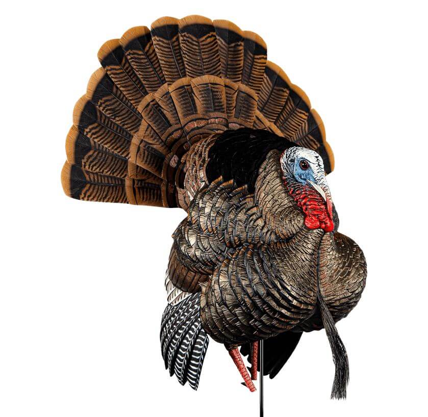 avian-x-appelant-dindon-hd-strutter-avx8108