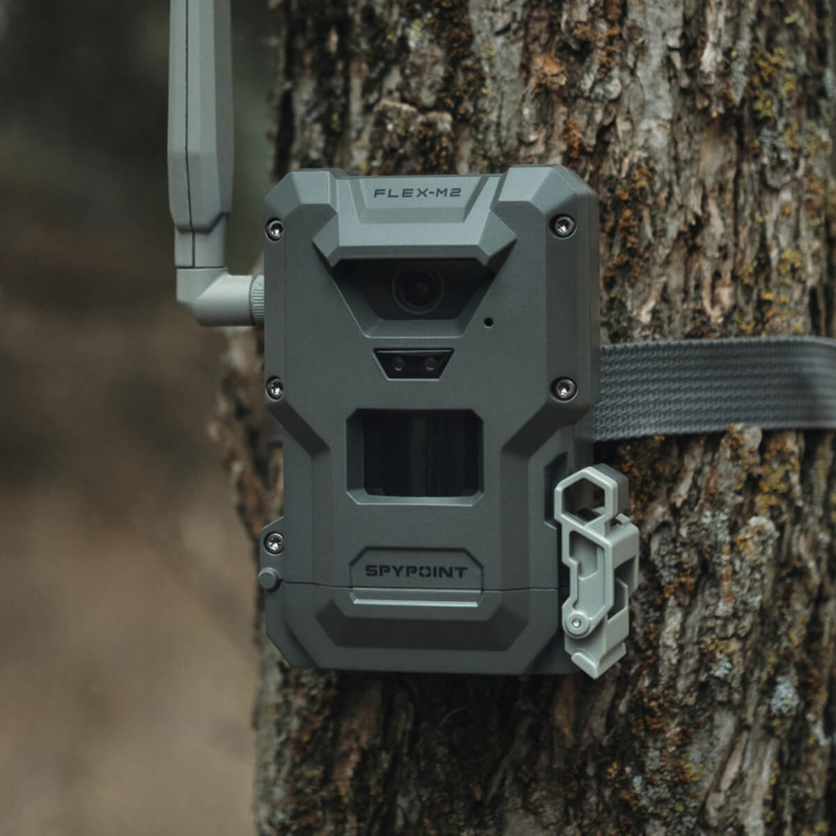 Caméra de chasse cellulaire Spypoint Flex-m2 32 mp