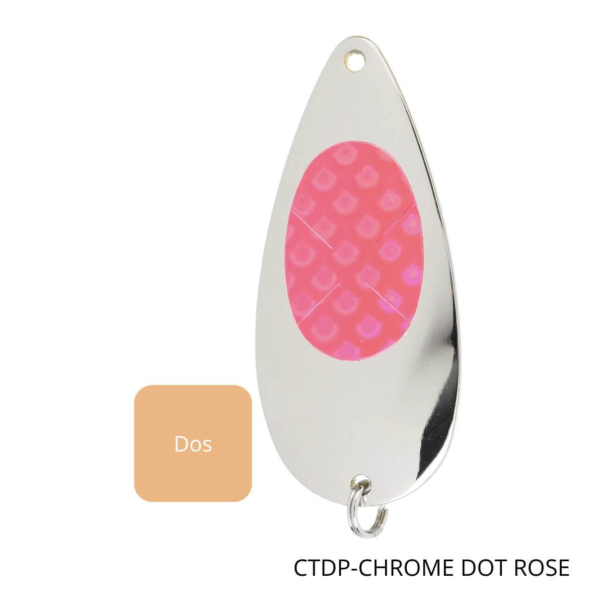 cami-cuillere-sorcier-ctdp