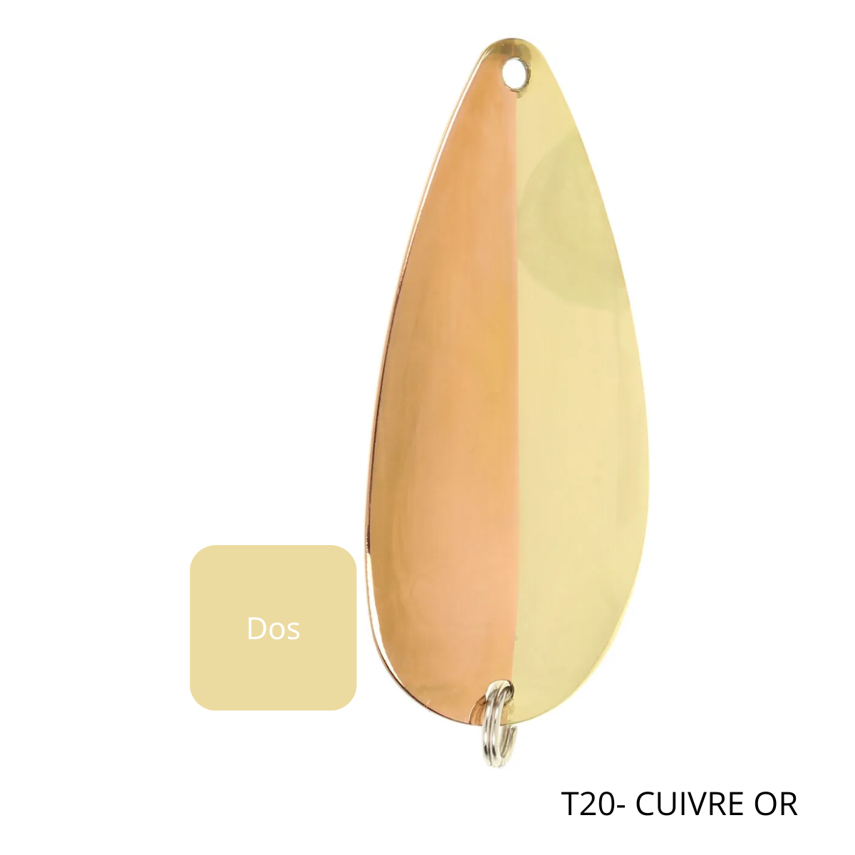 cami-cuillere-sorcier-t20