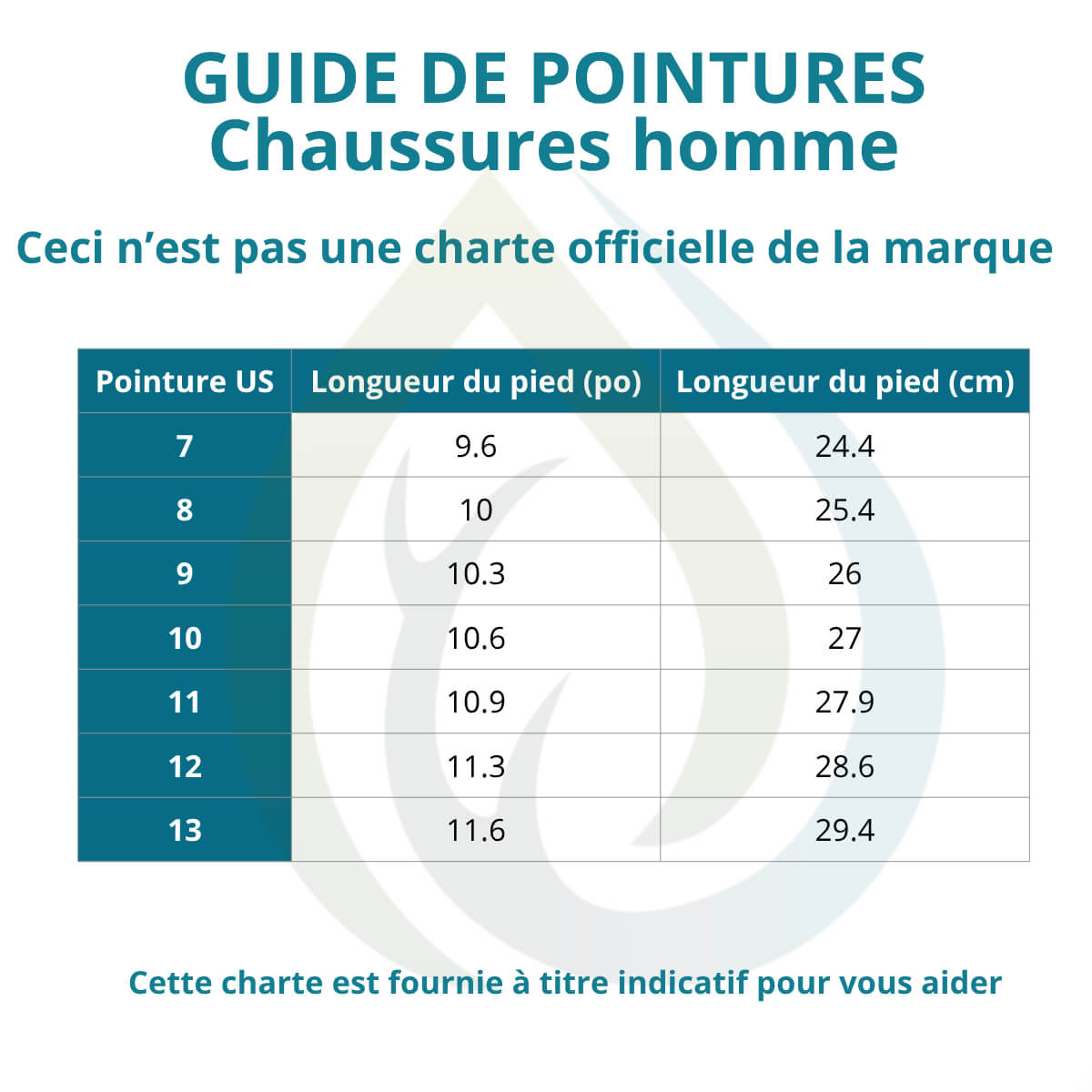 Charte de chaussure pour homme a titre indicatif