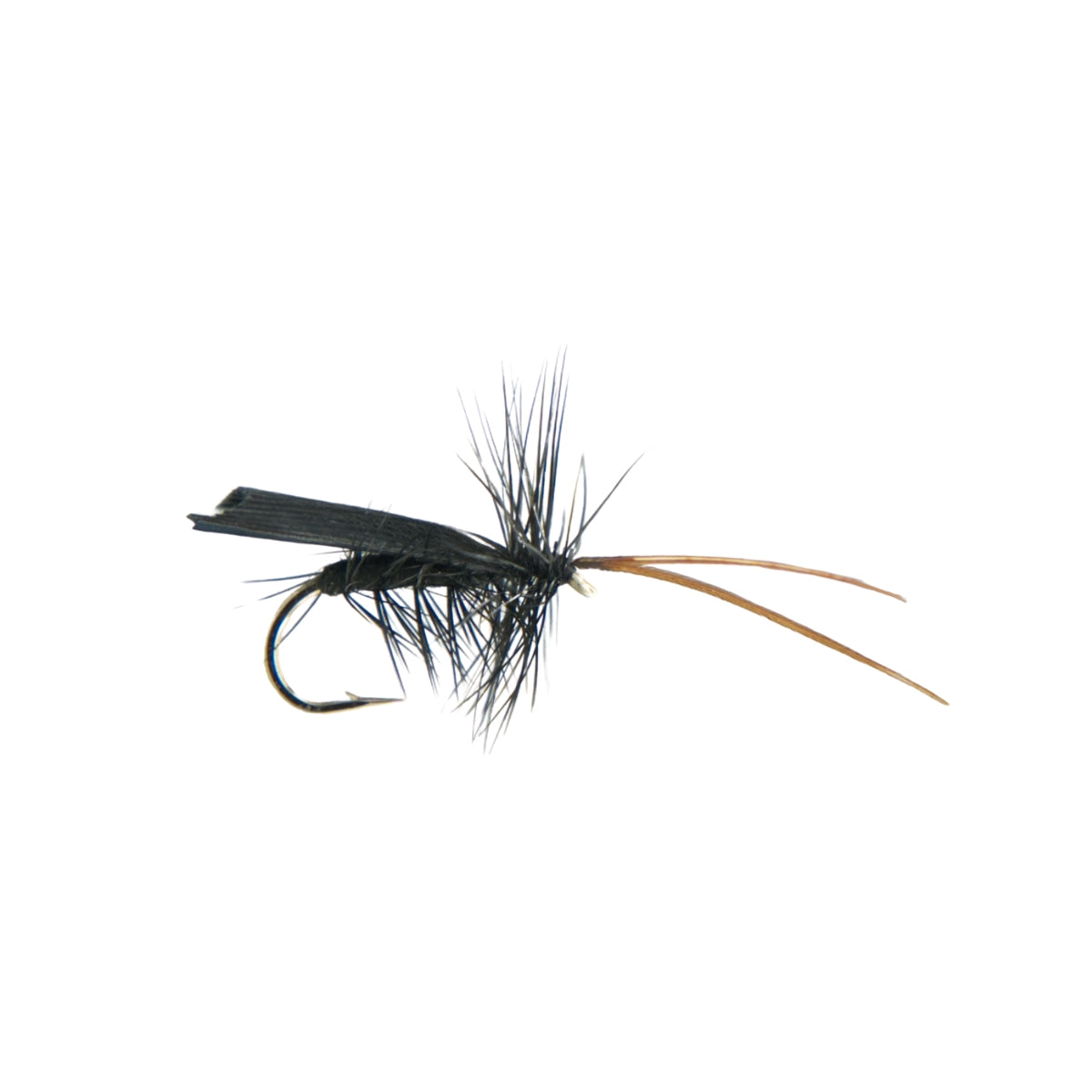 neptune-mouche-seche-black-tent-caddis