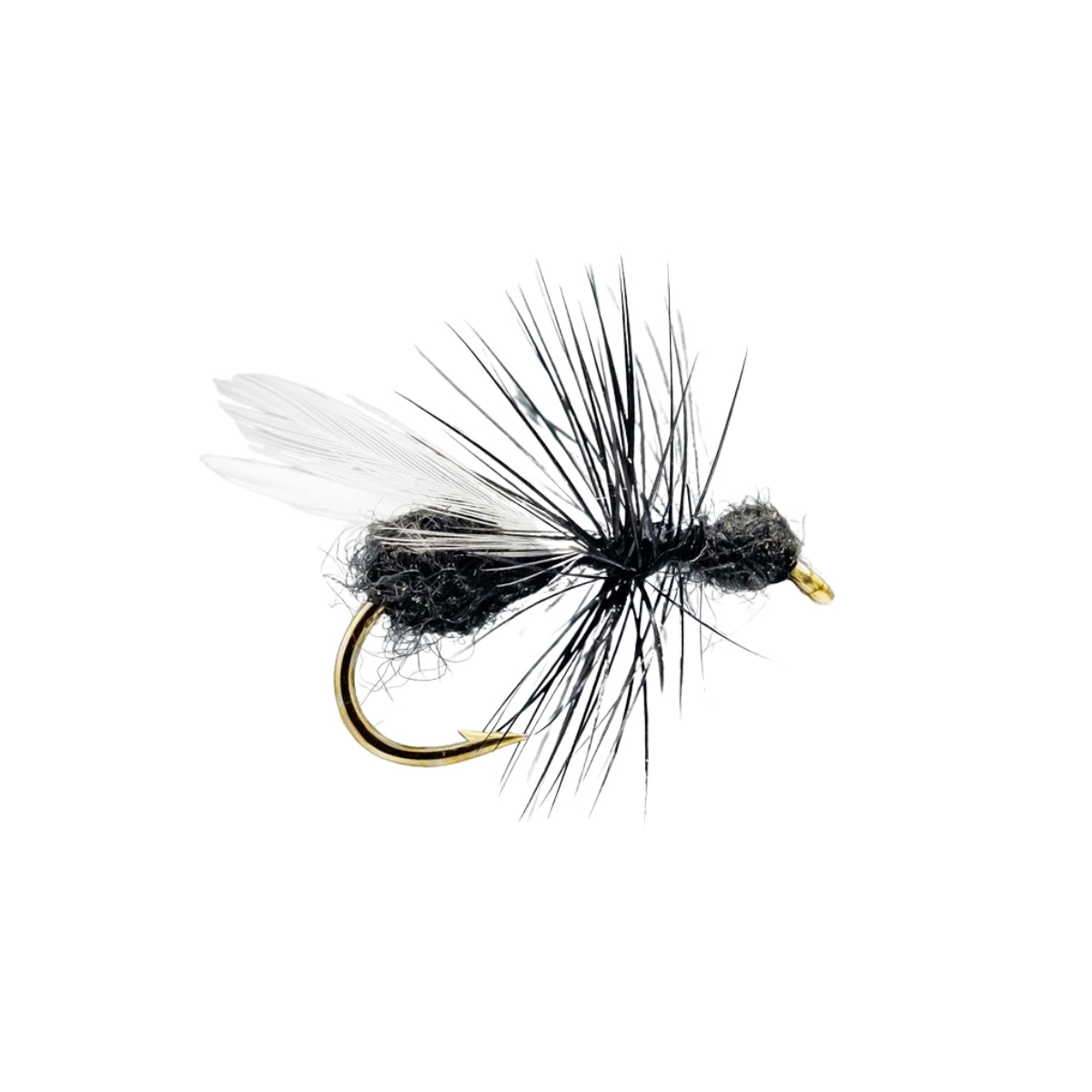 neptune-mouche-seche-flying-ant