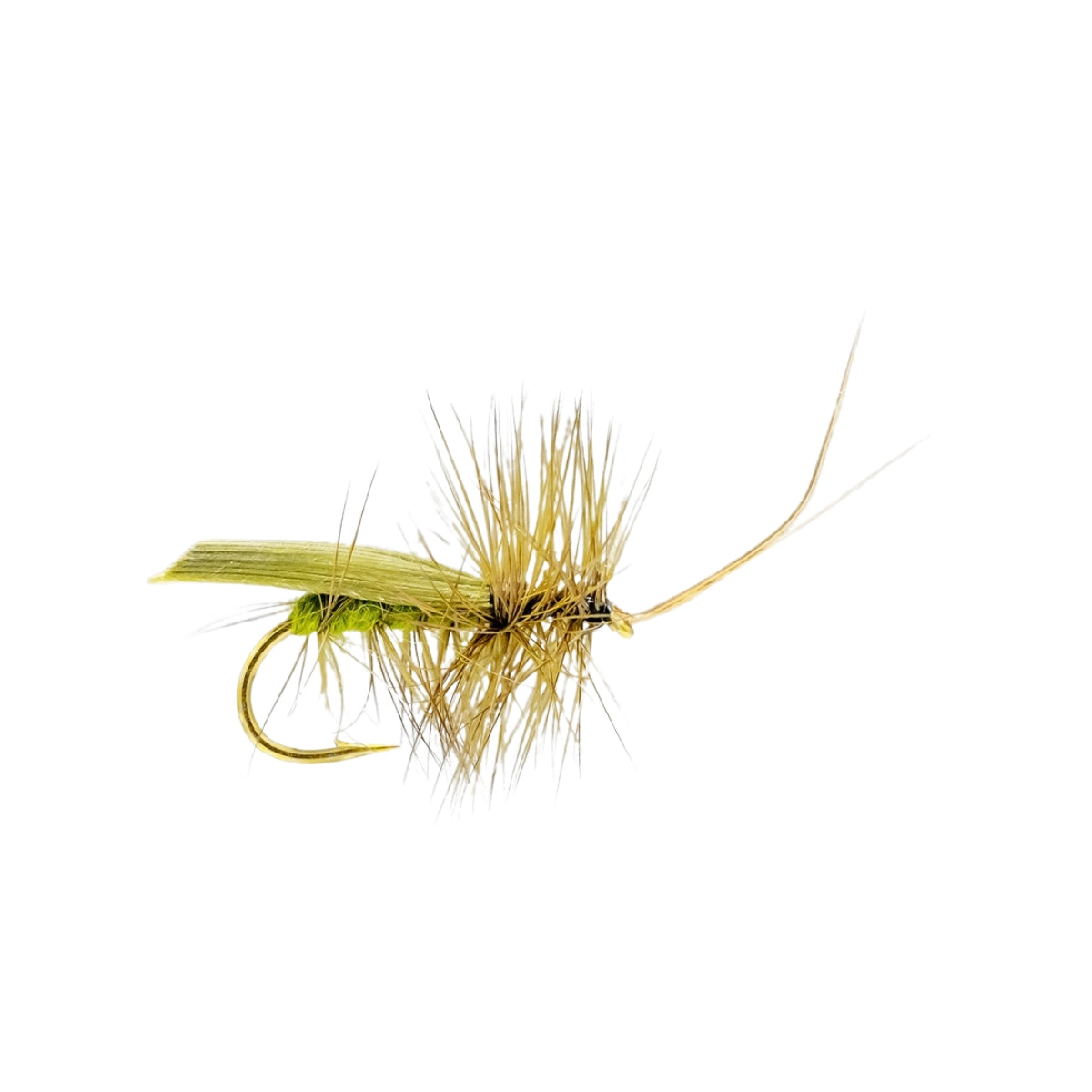 neptune-mouche-seche-olive-tent-caddis