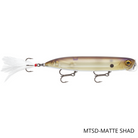 poisson-nageur-rapala-jowler-mtsd