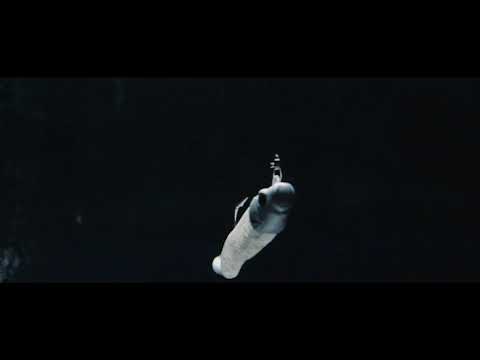 video-fishlab-mad-eel