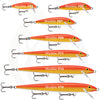 rapala-original-floating-charte-grandeur