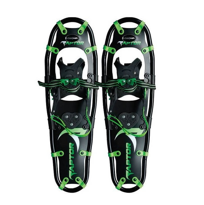 raquettes-coldfield-raptor