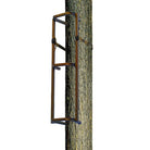 rhino-section-echelle-rtcs-100