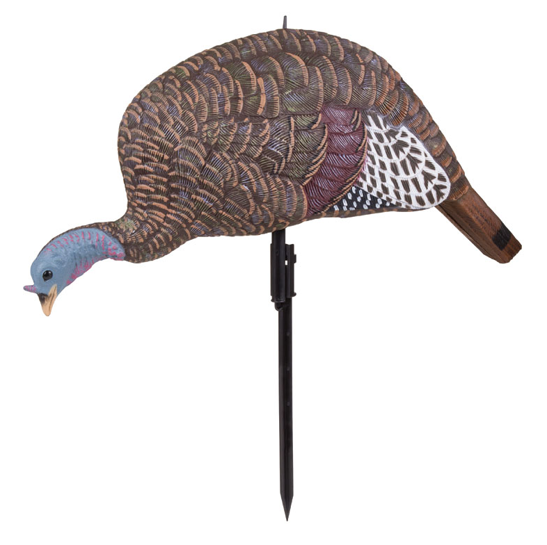 mad-calls-appelant-dindon-shady-baby-feeding-hen-md-710