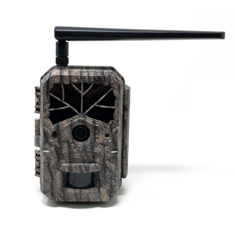 boly,-camࣀ°ra-de-surveillance-bg636-48m-bg636-48m