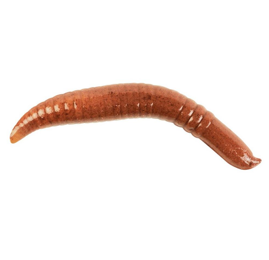 berkley,-leurres-souple-pinched-crawler-2"-ghfpc2