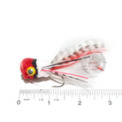 rainys-mouche-popper-whitlocks-hair-bug-porkys-pet-iwt038-06
