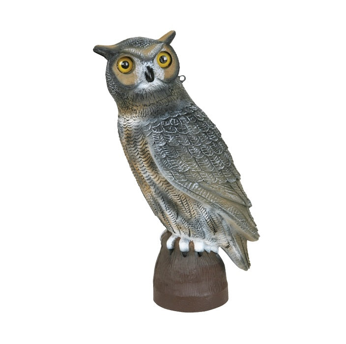 flambeau,-appelant-de-hibou-5910wl