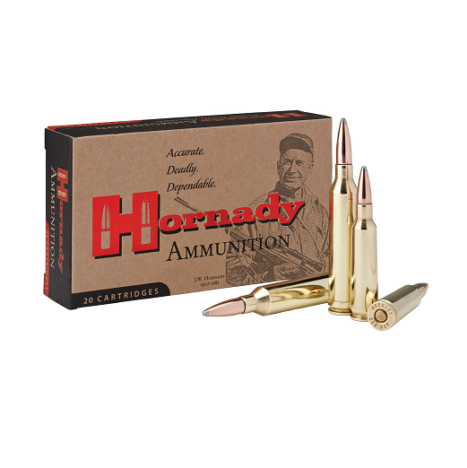 hornady,-balles-custom-cal.250-savage-100-gr-'8132