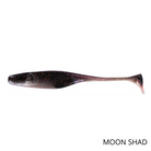 nxs,-poissons-souples-dancing-death-shad-4"-'020130504629