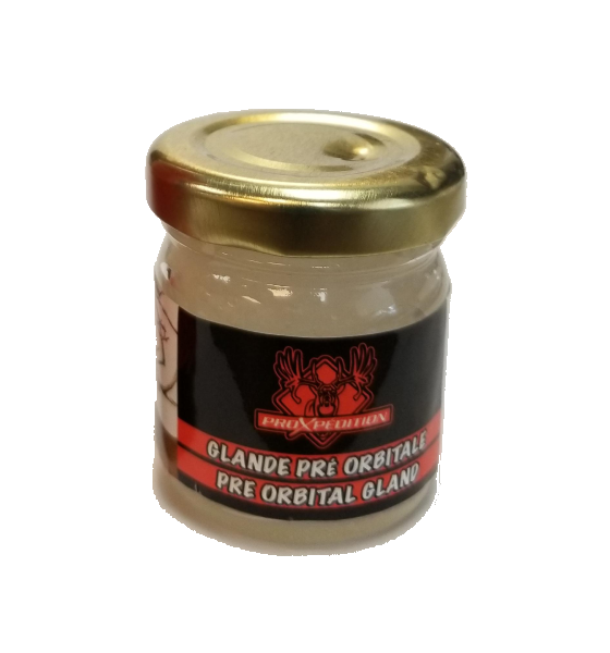 proxpedition-glande-pre-orbital-orb-01