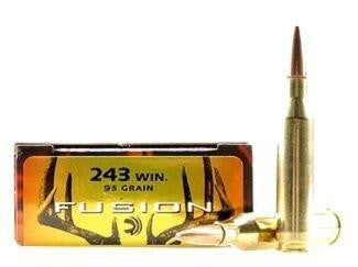fusion,-balles-fusion-cal.243-win-f243fs1