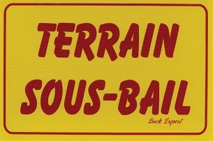 buck-expert,-affiche-terrain-sous-bail-'86