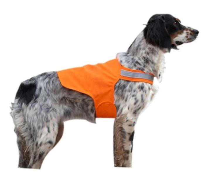 ganka,-dossard-pour-chien-87-dog