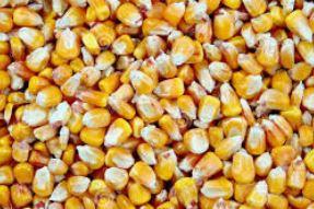 meunerie-soucy,-ma࣯s-'7