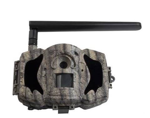 boly,-camࣩra-mg984g-36m-mg984g-36m