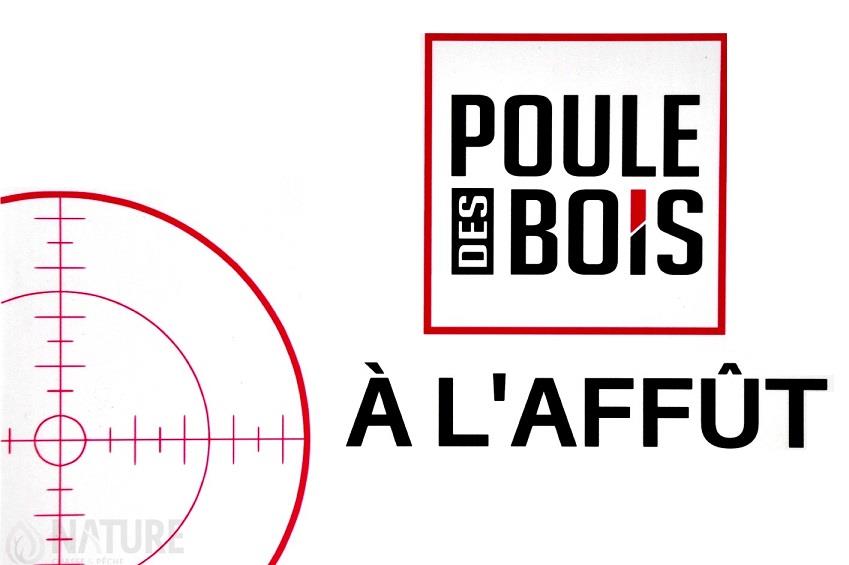 poule-des-bois,-affiche-poule-des-bois-࣠-l'affࣻt-panpdb