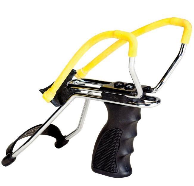 daisy,-fronde-p51-998151-506